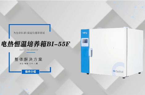 电热恒温培养箱