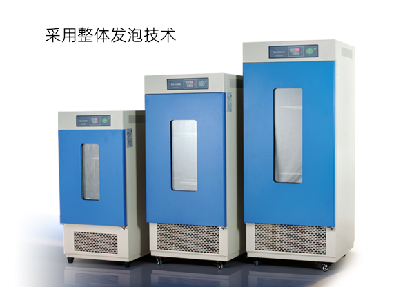 生化培养箱LRH
